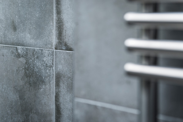 Dublin Light Grey 01 
 Spacers Tile and Wood Flooring 
 Keywords: Tom Hampson Photography Spacers tiles wood flooring bathroom toilet bath shower commercial photography Visual Eye Visualeye Creative Interiors product studio high wycombe exteriors Ruislip accessories tile floor