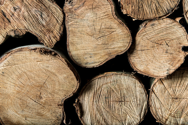 Raw Wood 02 
 Spacers Tile and Wood Flooring 
 Keywords: Tom Hampson Photography Spacers tiles wood flooring bathroom toilet bath shower commercial photography Visual Eye Visualeye Creative Interiors product studio high wycombe exteriors Ruislip accessories tile floor